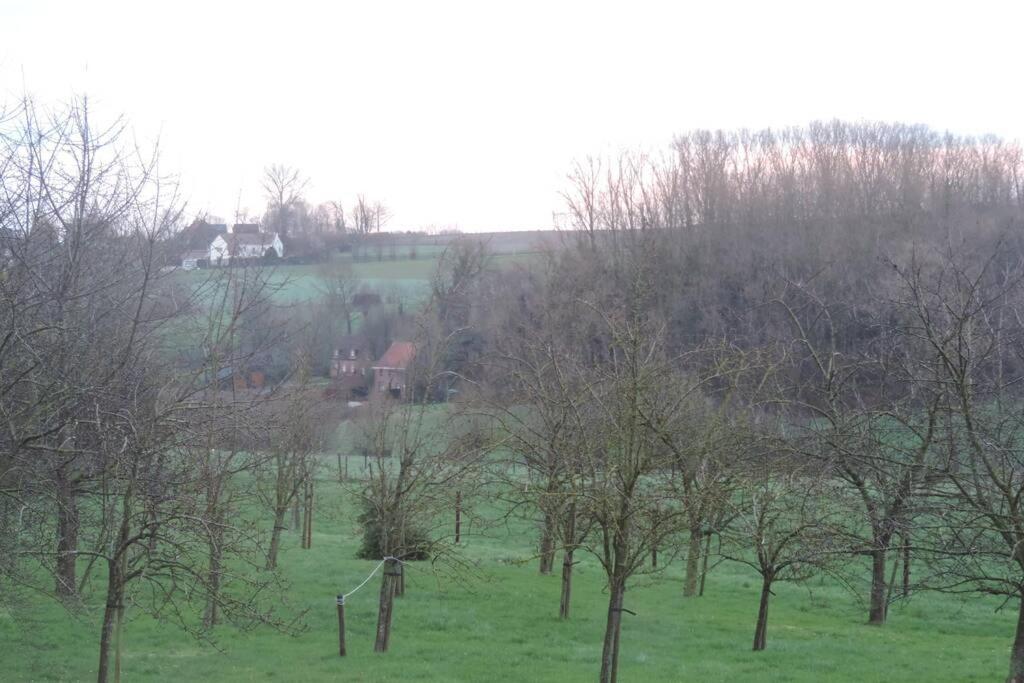 Vakantiewoning Zoetebeek Audenarde Extérieur photo